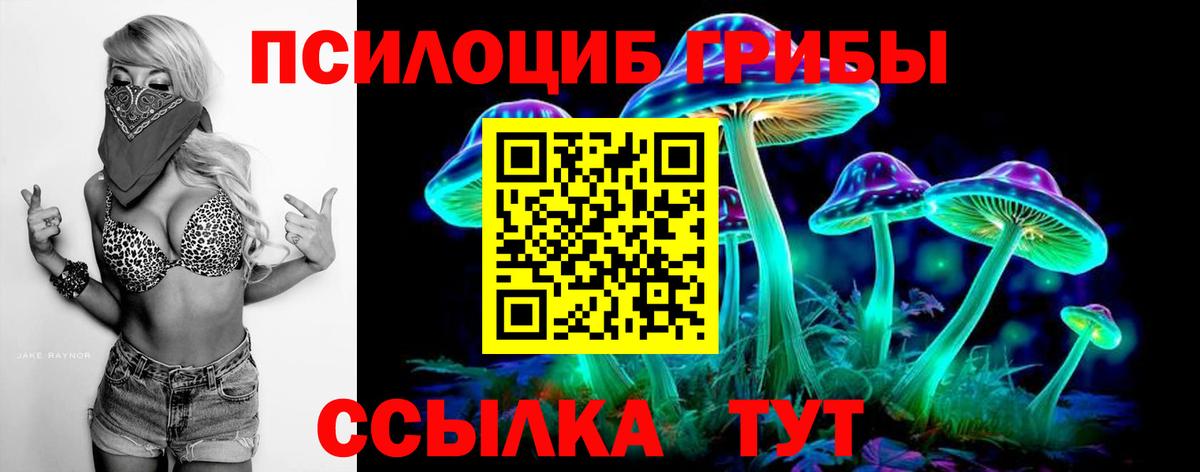 Находка  как найти закладки  Вход с VPN  Псилоцибиновые грибы Psilocybine cubensis  Галлюциногенные грибы прущие грибы 