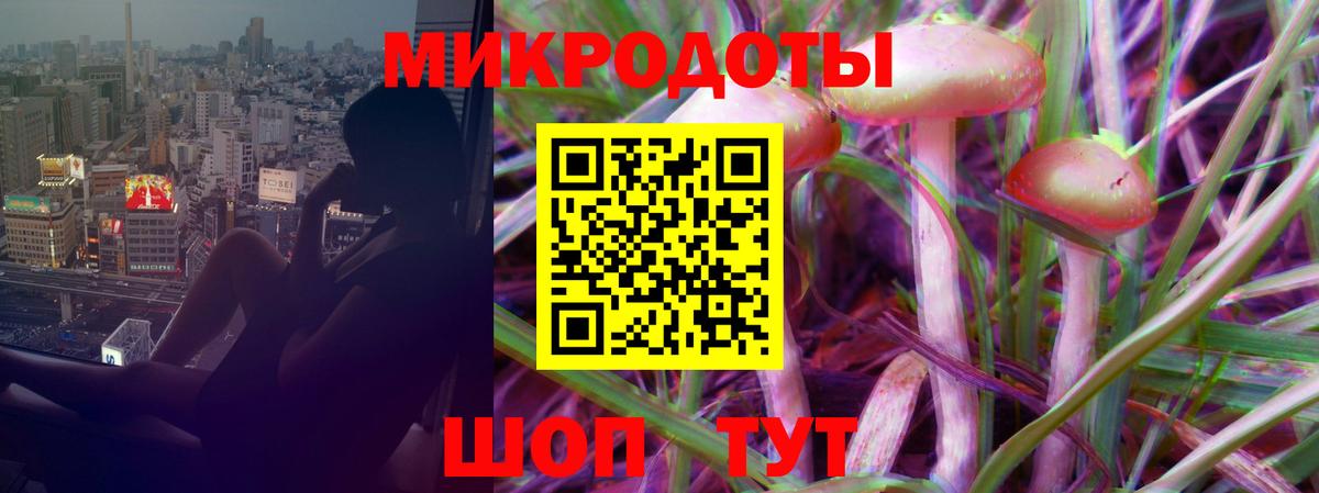 Псилоцибиновые грибы прущие грибы Находка