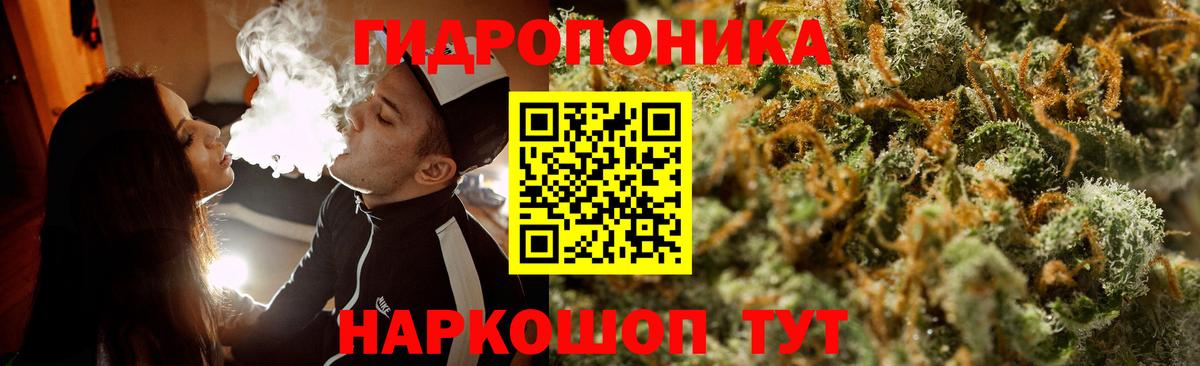 Канабис планчик  Вход с VPN  Конопля сатива  Марихуана THC 21%  Находка 